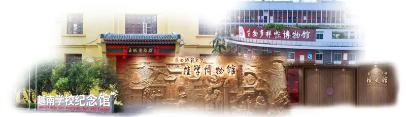 ▲文博群览：博物馆群.jpg