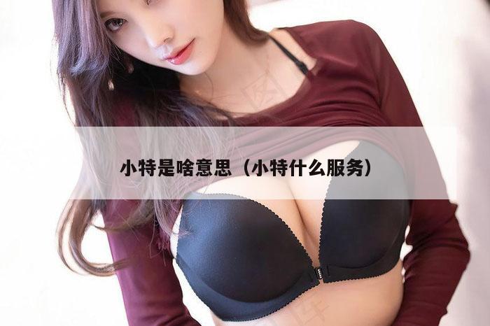 小特是啥意思（小特什么服务）