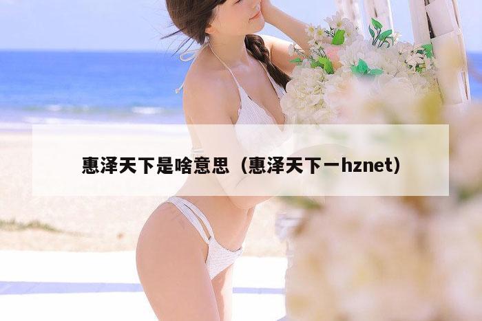 惠泽天下是啥意思（惠泽天下一hznet）